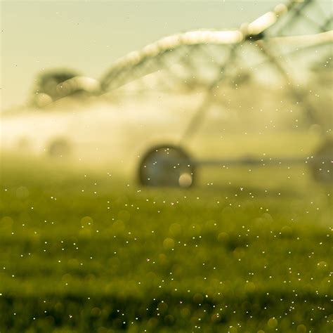 CSU receives $12 million for sustainable agriculture .
